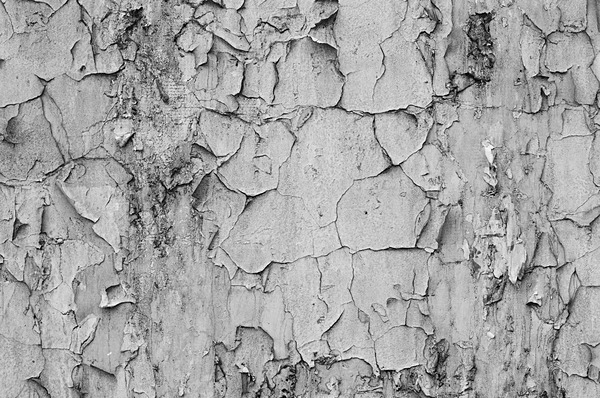 Still Life Moscow #11 - Moscow