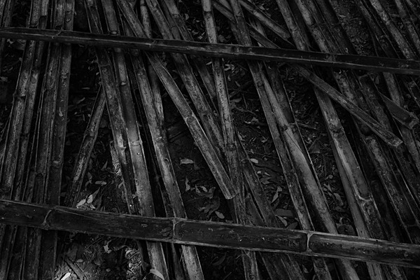 Bamboo (Taj Usha Kiran Palace, Gwalior) - Digital Black and White Images