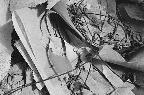 Still Life (Nagpur) #1 - India