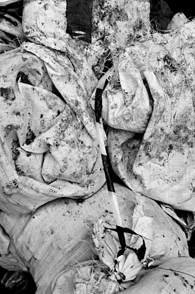 Still Life (Jakarta) #9 - Indonesia