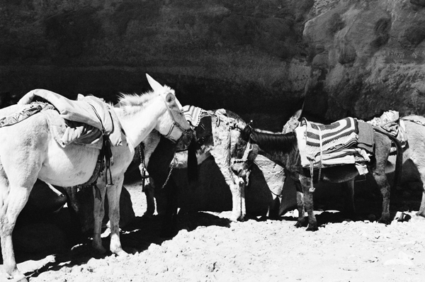 Waiting (Petra) #1 - Petra