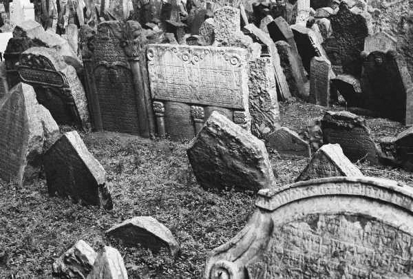 Jewish Cemetery (Prague 2009) #2 - Prague Jewish Cemetery (2009)