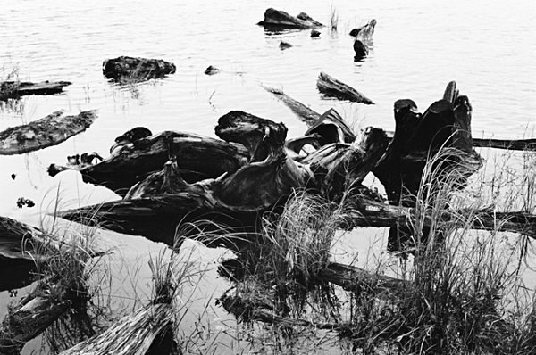 Waterscape (Luodong Cultural Park) #3 - Taiwan