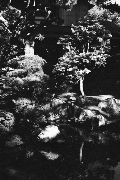 Botanic Garden (SF 2013) #10 - California