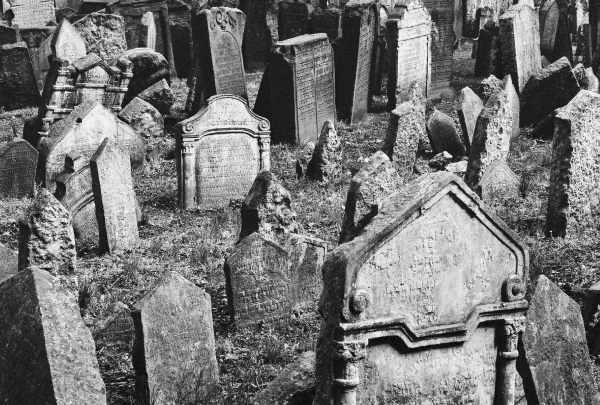 Jewish Cemetery (Prague 2009) #3 - Prague Jewish Cemetery (2009)