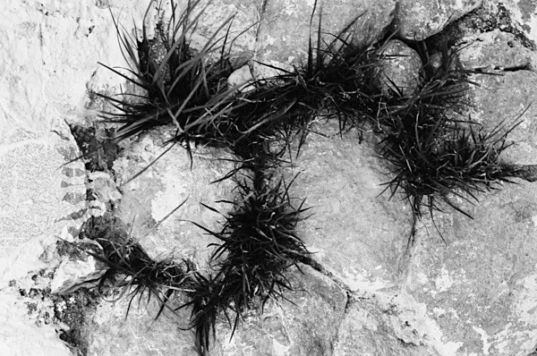 Still Life (Cusco) #4 - South America