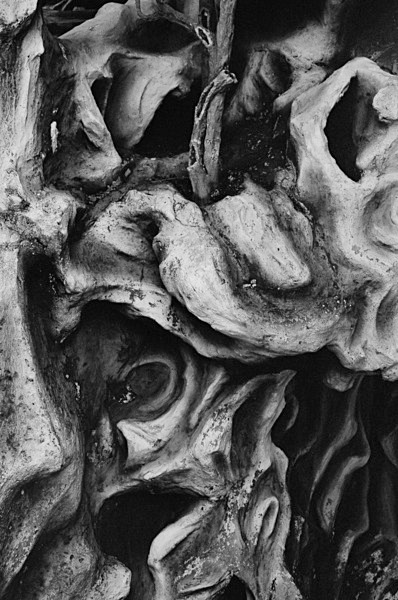 Still Life (Singapore) #3 - Singapore