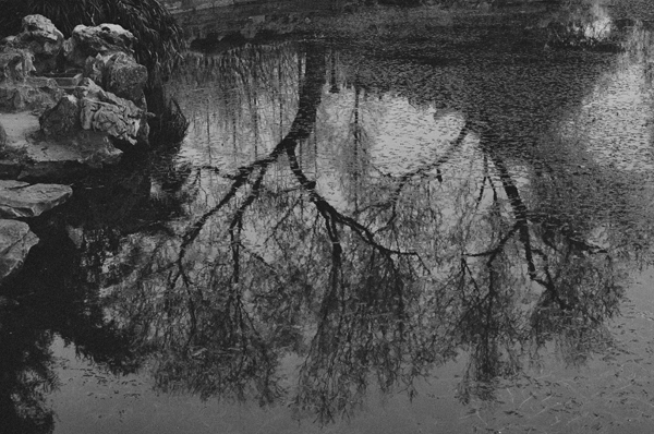 Waterscape (Changfeng Park) #6 - Shanghai