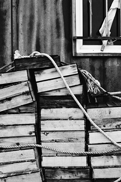 Still Life (Jeju) #11 - Korea