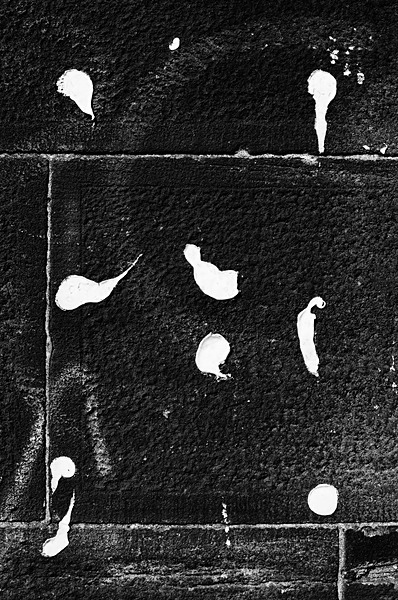 Still Life (Newcastle) #7 - Newcastle