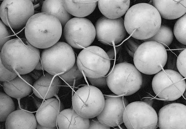 Turnips (Tokyo) - Japan