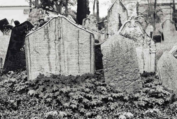 Jewish Cemetery (Prague 2009) #8 - Prague Jewish Cemetery (2009)
