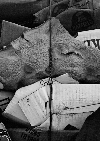 Trash (Eastern Market) #2 - Around Town (DC)
