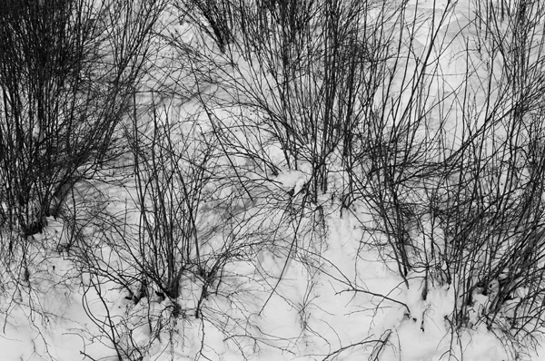Snowscape (Mt Tremblant) #4 - North America