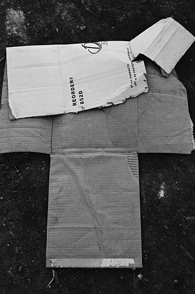 Still Life (Miami Causway) #6 - Miami Causway