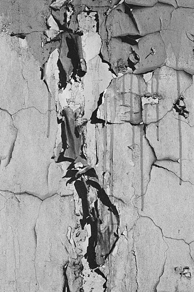 Still Life Moscow #22 - Moscow