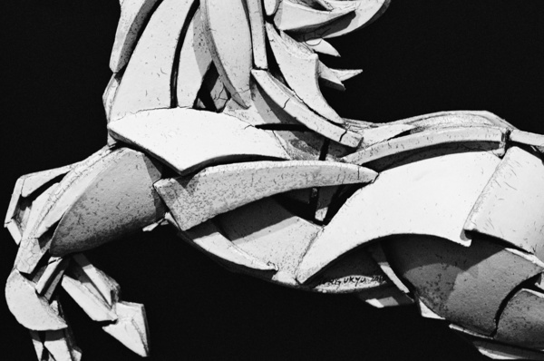 Still Life (Jeju) #4 - Korea