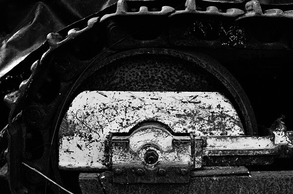 Still Life (Haines, Alaska) #6 - Alaska