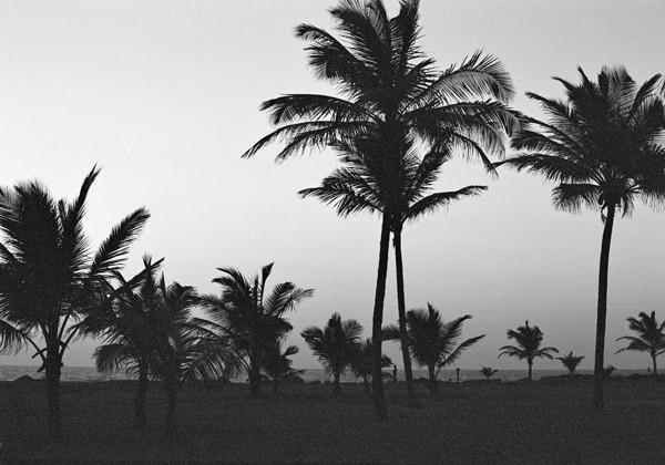 Sunset (Goa) #1 - India