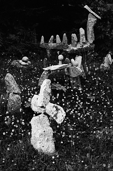 Still Life (Haines, Alaska) #1 - Alaska