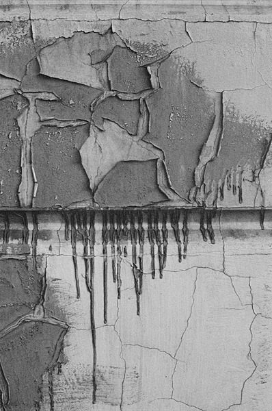 Still Life Moscow #23 - Moscow