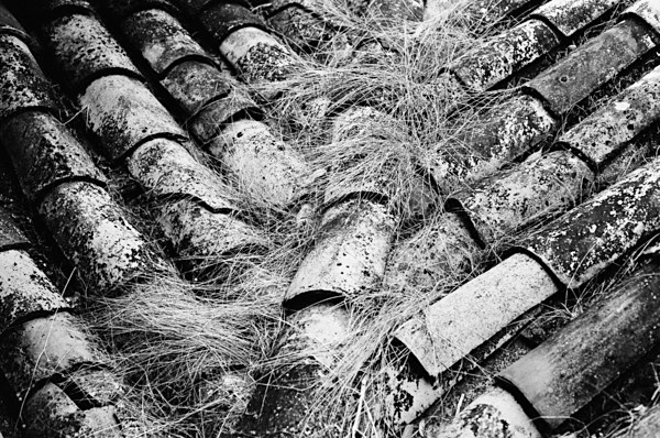 Roof Top (Cusco) - South America