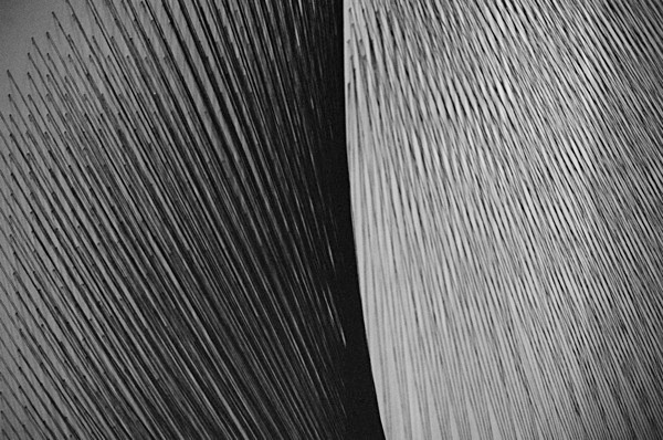 Still Life (Lima) #1 - South America