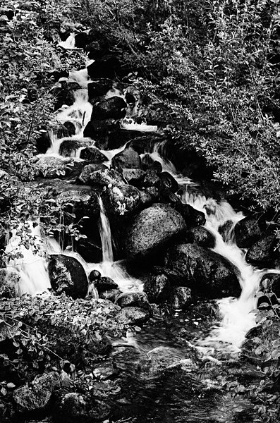 Alaska2017 #27 - Alaska