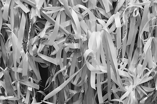 Still Life (Singapore) #2 - Singapore