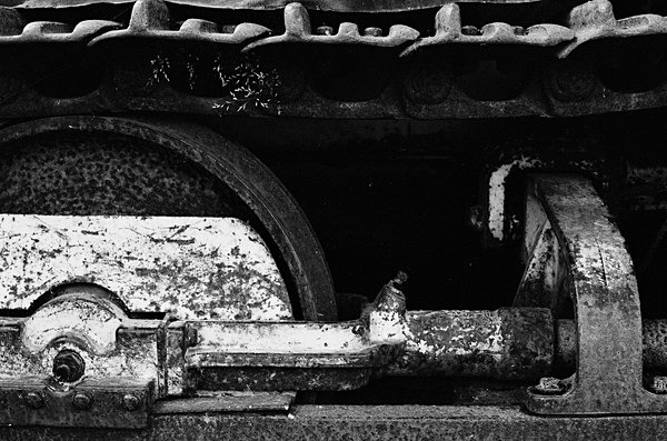 Still Life (Haines, Alaska) #7 - Alaska