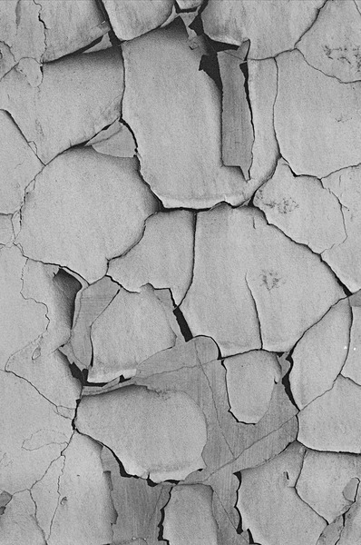 Still Life Moscow #24 - Moscow