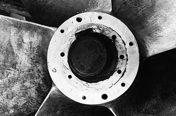 Still Life (Vancouver) #1 - Canada