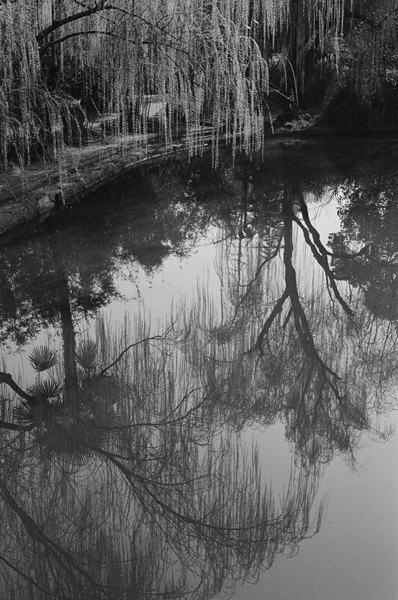 Waterscape (Changfeng Park) #3 - Shanghai