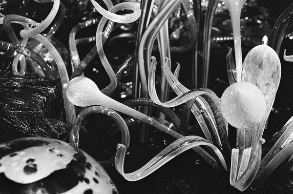 Chihuly (VMA) #2 - North America