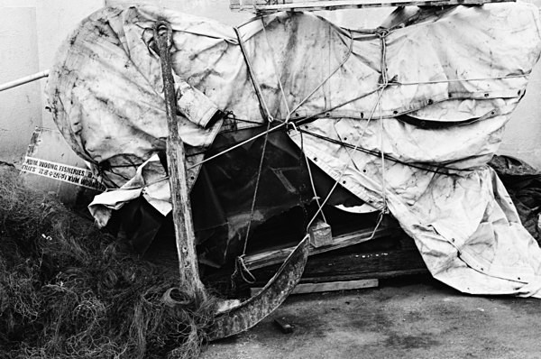 Still Life (Jeju) #7 - Korea