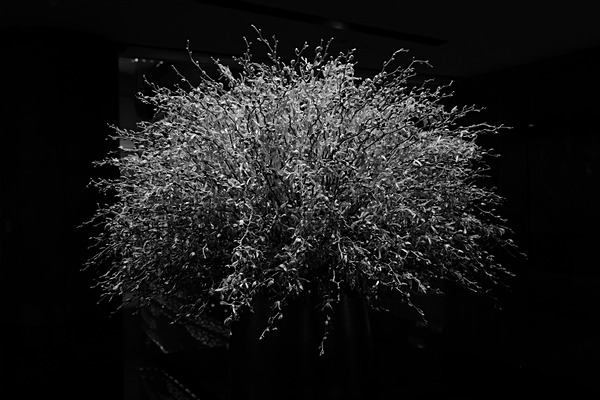 Intercontinental (Beijing) #2 - Digital Black and White Images