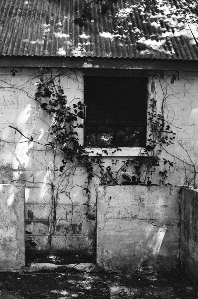 Cottage (Chestertown) #1 - Eastern Shore Maryland