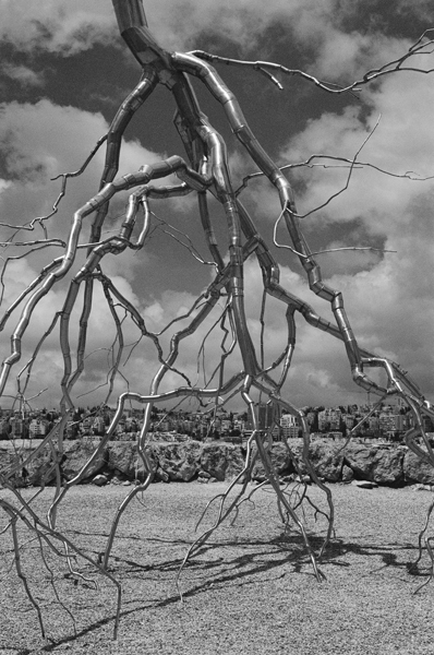 Inversion (Roxy Paine, Jerusalem) - Israel and Middle East