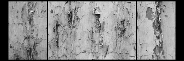 Still Life (Moscow) Triptych - Moscow