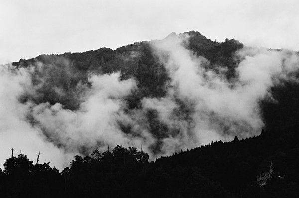 Above the Clouds (Mt Alishan) #2 - Taiwan