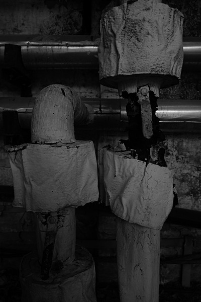Still Life (Taj Usha Kiran Palace, Gwalior) #1 - Digital Black and White Images