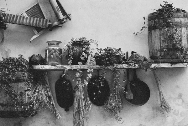Still Life (Krakow) #1 - Europe