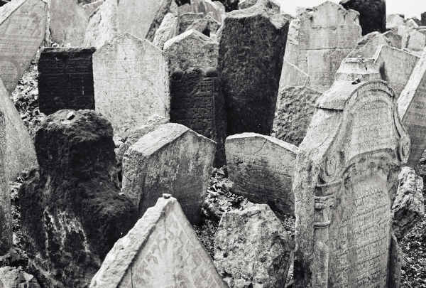 Jewish Cemetery (Prague 2009) #19 - Prague Jewish Cemetery (2009)