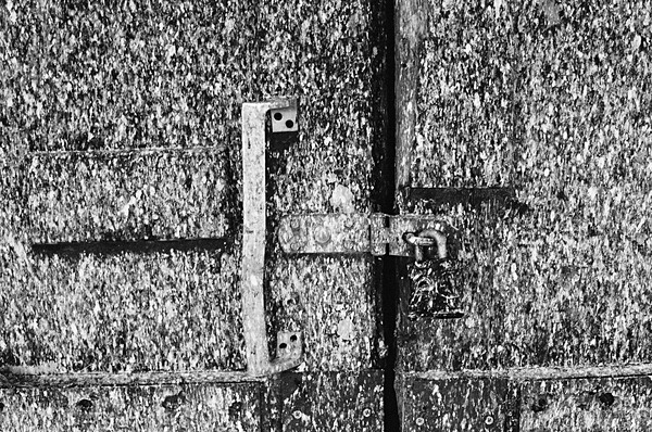 Still Life (Newcastle) #4 - Newcastle