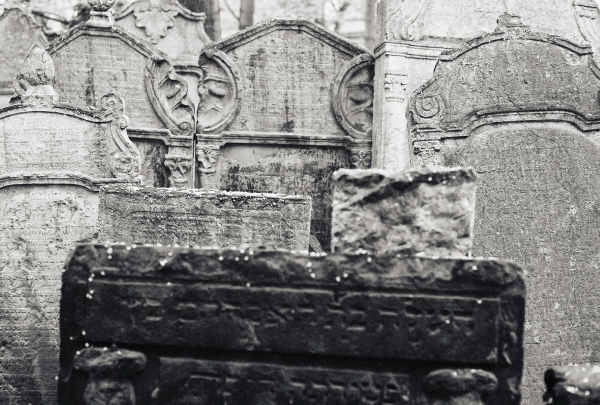 Jewish Cemetery (Prague 2009) #7 - Prague Jewish Cemetery (2009)