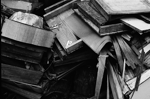 Still Life (Mt Alishan) #4 - Taiwan