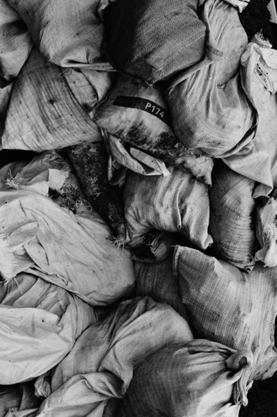 Still Life (Jakarta) #6 - Indonesia