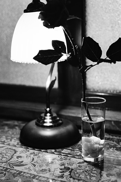 Still Life (Mt Alishan) #2 - Taiwan