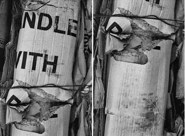Trash (Eastern Market) Diptych - Around Town (DC)