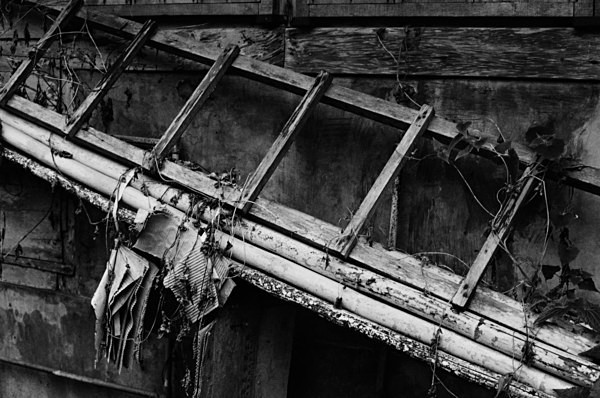 Still Life with Ladder (Hualien) #1 - Taiwan